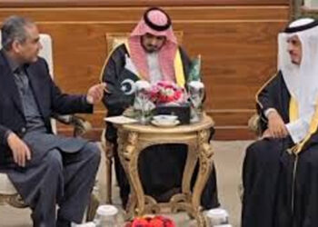 پاکستانی 4300 بھکاریوں کے نام ای سی ایل میں ڈال دیئے، وزیرداخلہ محسن نقوی کی سسعودی ہم منصب کو بریفنگ