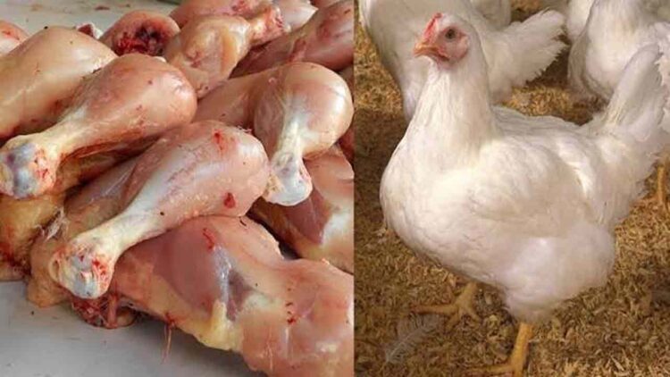 ملک کے مختلف شہروں میں مرغی کی قیمتوں میں اضافہ