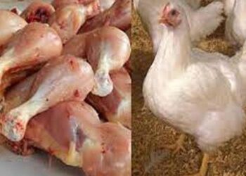 تجارت مرغی کا گوشت 7 روپے سستا، فی کلو 584 روپے ہو گیا