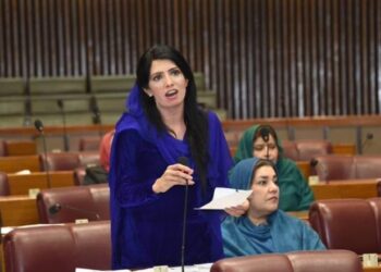 پولیس کو دھمکیاں دینے کا کیس؛ عالیہ حمزہ کو عدالت سے  ریلیف مل گیا