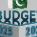 وفاقی بجٹ آج پیش کیا جائے گا، تنخواہوں اور ٹیکس میں اہم تبدیلیاں متوقع