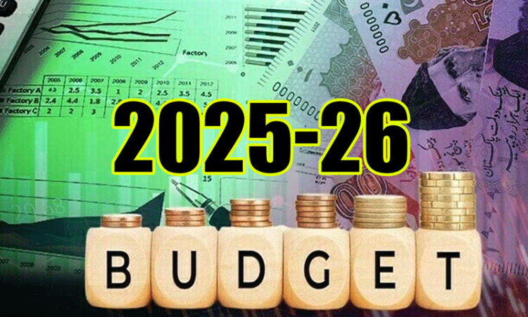 وفاقی بجٹ 2024-25: گاڑیاں، بیکری مصنوعات مہنگی، سوشل میڈیا آمدن پر بھی ٹیکس لگنے کا امکان