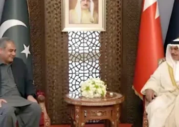 محسن نقوی کی بحرینی وزیر داخلہ سے ملاقات، سیکیورٹی تعاون اور دوطرفہ تعلقات پر تبادلہ خیال