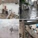 پنجاب میں بارشوں کی تباہی: 30 ہلاکتیں، متعدد زخمی، کئی علاقوں میں چھتیں گرنے کے واقعات