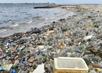 نوجوانوں میں کینسر کے بڑھتے واقعات، ماحولیاتی آلودگی، پلاسٹک اور ناقص خوراک سنگین وجوہات قرار