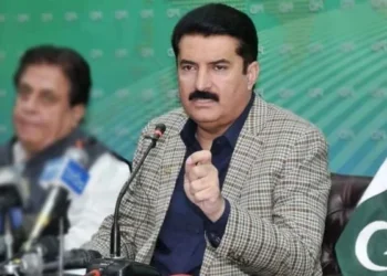 فیصل کریم کنڈی کا اپوزیشن جلسے پر ردعمل، کہا جلسوں سے بانی پی ٹی آئی آزاد نہیں ہوں گے