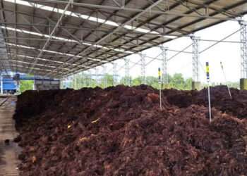 بدین میں محکمہ زراعت کی بڑی کارروائی، گودام سے 45 ہزار بوریاں یوریا کھاد برآمد