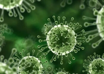 نیپاہ وائرس کے پھیلاؤ پر محکمہ صحت سندھ کی احتیاطی ایڈوائزری جاری