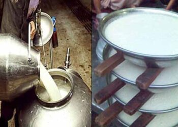 پشاور میں دودھ کی قیمت میں 60 روپے فی لیٹر اضافہ