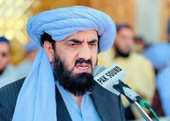 Becoming part of the government is nothing short of political suicide, Hafiz Hamdullah