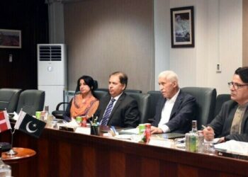 ڈنمارک کی شپنگ کمپنی کا پاکستان میں 2 ارب ڈالر کی سرمایہ کاری کا منصوبہ