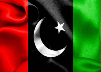 پیپلزپارٹی نے پبلک اکاؤنٹس کمیٹی کی سربراہی مانگ لی