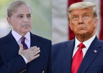 وزیراعظم شہباز شریف کی ڈونلڈ ٹرمپ کو انتخابات جیتنے پر مبارکباد، مل کر کام کرنے کی خواہش کا اظہار