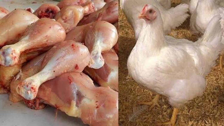ملک کے مختلف شہروں میں مرغی کی قیمتوں میں اضافہ