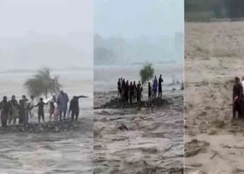 سانحہ سوات کے بعد علی امین گنڈا پور نے دریائے سوات کے کنارے بیریئرز نصب کرنے کا حکم دیدیا