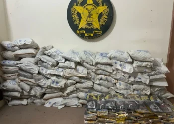 ANF Launches Major Operations Nationwide, Seizes Drugs Worth Over Rs70 Million, Arrests Six Smugglers