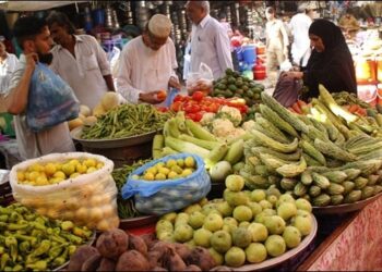 Floods Devastate Crops in Punjab, Fruit and Vegetable Prices Expected to Rise