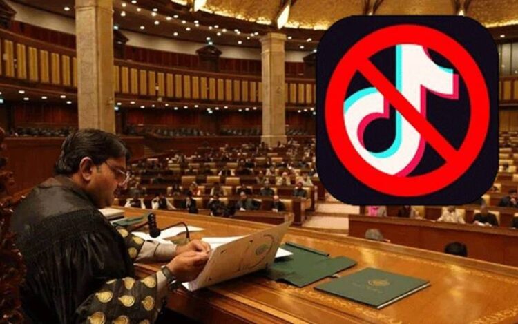 Resolution Submitted in Punjab Assembly Seeking Complete Ban on TikTok