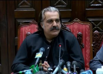 PTI Leadership Denies Rumors of Removing Khyber Pakhtunkhwa Chief Minister Ali Amin Gandapur