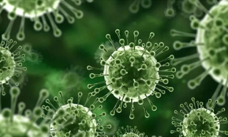 Sindh Health Department Issues Precautionary Advisory After Spread of Nipah Virus in India