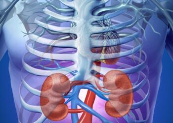 Deadly Link Between Chronic Kidney Disease and Heart Disease Revealed by New Research