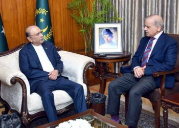 President Zardari, PM Shehbaz Sharif Discuss Mediation Efforts and Regional Tensions