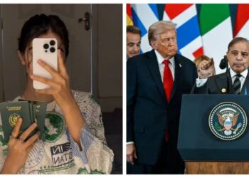 Overseas Pakistanis Celebrate Diplomatic Success, Memes Go Viral on Social Media