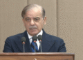 Government Prepares Action Plan to Tackle Gas Crisis, New RLNG Connections Suspended