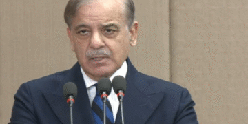 Government Prepares Action Plan to Tackle Gas Crisis, New RLNG Connections Suspended